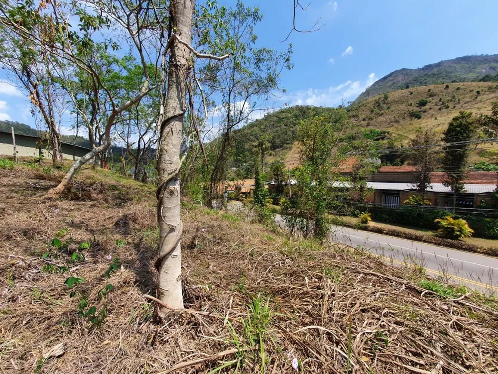 Terreno, 9 hectares - Foto 23