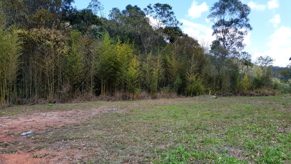 Terreno, 9 hectares - Foto 11