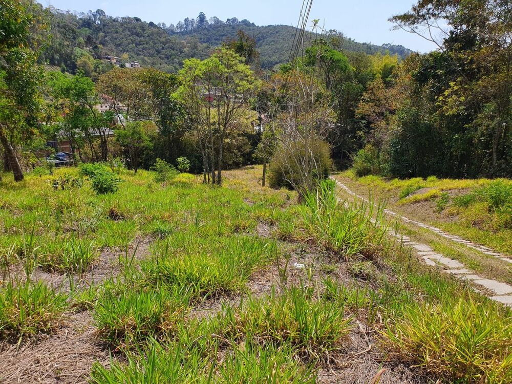 Terreno, 9 hectares - Foto 6