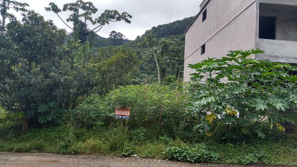 Terreno, 439 m² - Foto 2