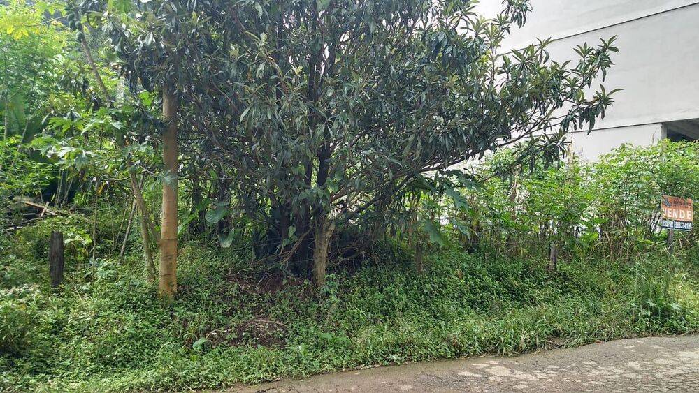Terreno, 439 m² - Foto 1