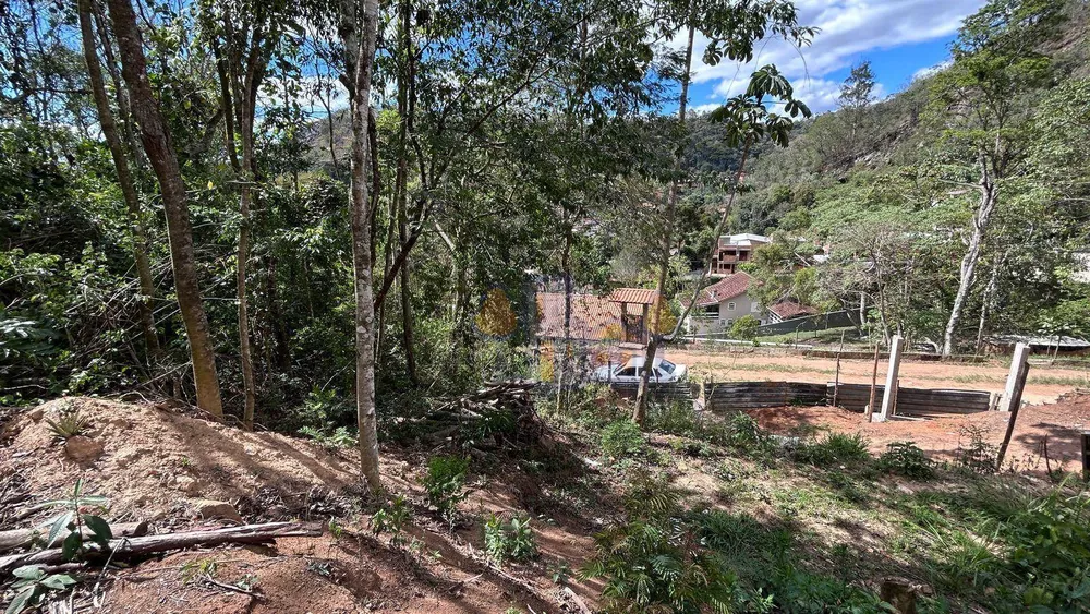 Terreno, 2950 m² - Foto 7