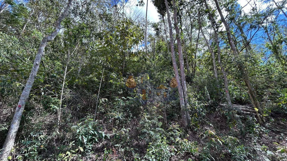 Terreno, 2950 m² - Foto 5