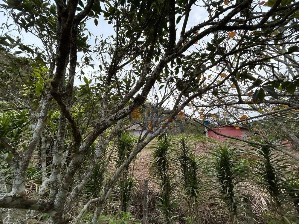 Chácara, 1 quarto, 1000 m² - Foto 23