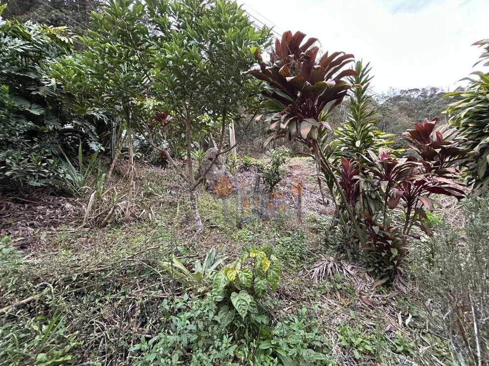 Chácara, 1 quarto, 1000 m² - Foto 4