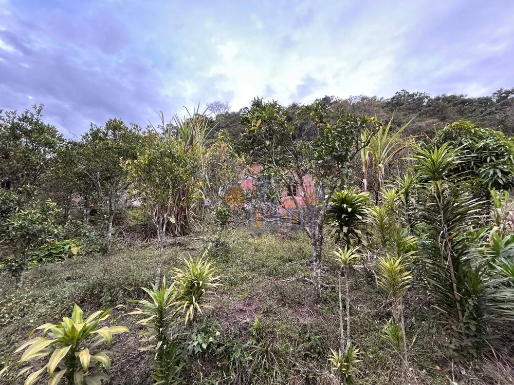 Chácara, 1 quarto, 1000 m² - Foto 18
