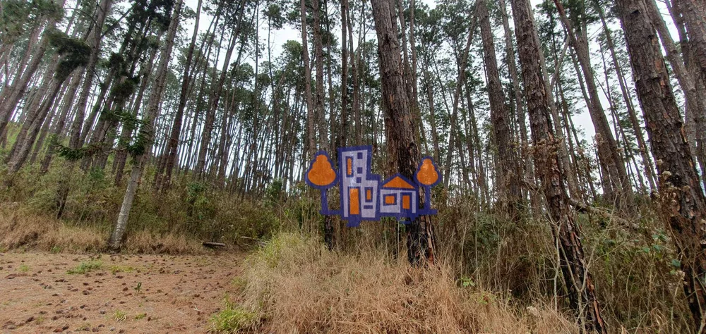 Terreno, 16 hectares - Foto 11