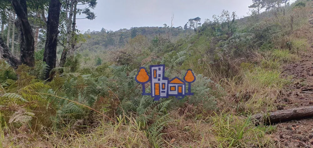 Terreno, 16 hectares - Foto 6