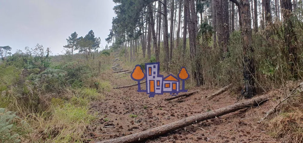 Terreno, 16 hectares - Foto 7