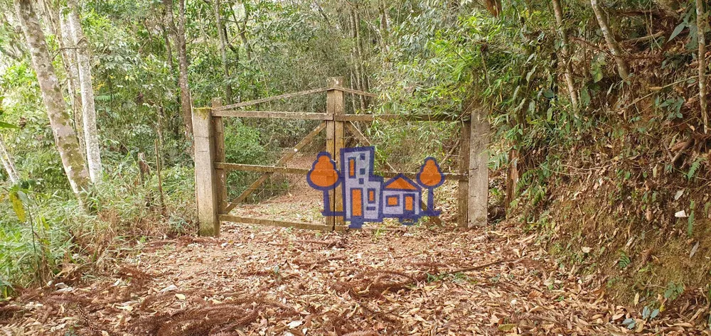 Terreno, 16 hectares - Foto 13