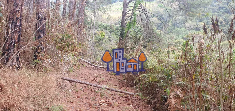 Terreno, 16 hectares - Foto 10