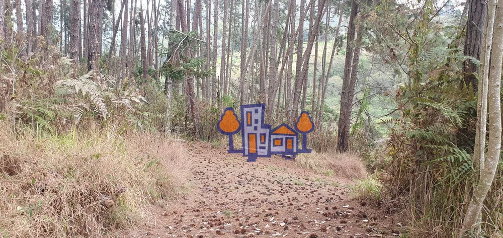 Terreno, 16 hectares - Foto 9