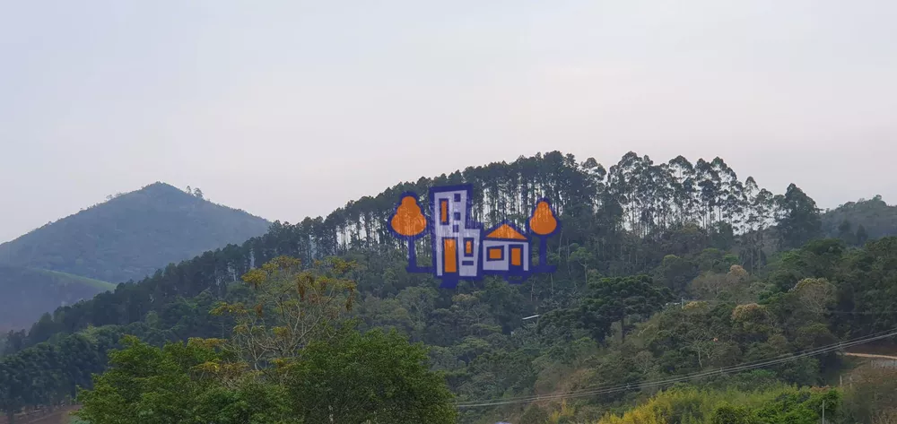 Terreno, 16 hectares - Foto 3