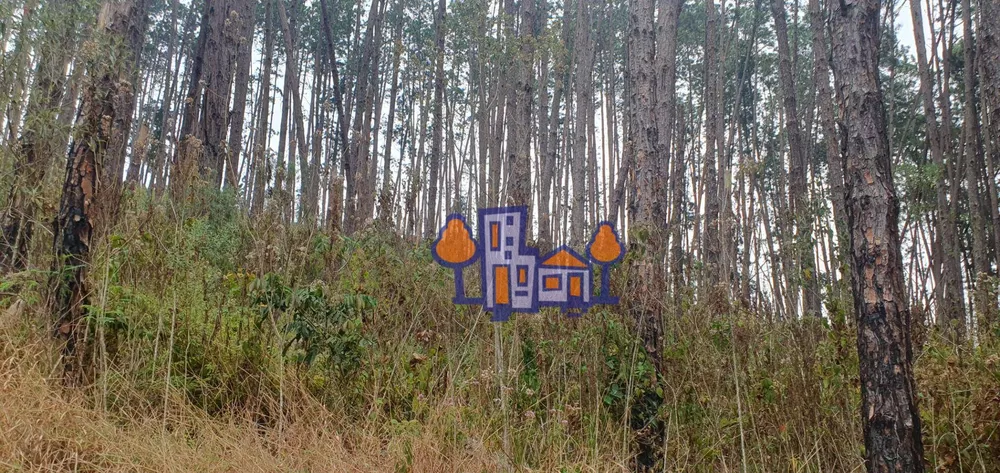 Terreno, 16 hectares - Foto 8