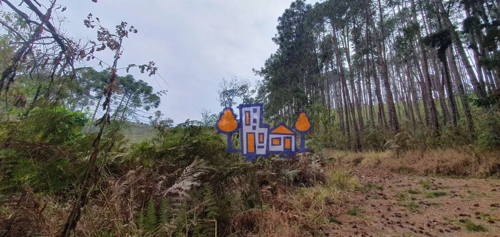 Terreno, 16 hectares - Foto 12