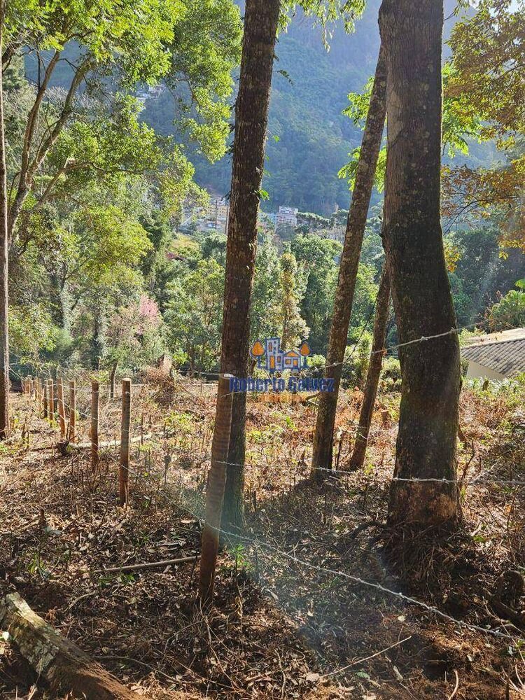 Terreno, 1193 m² - Foto 7