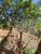 Terreno, 1193 m² - Foto 3