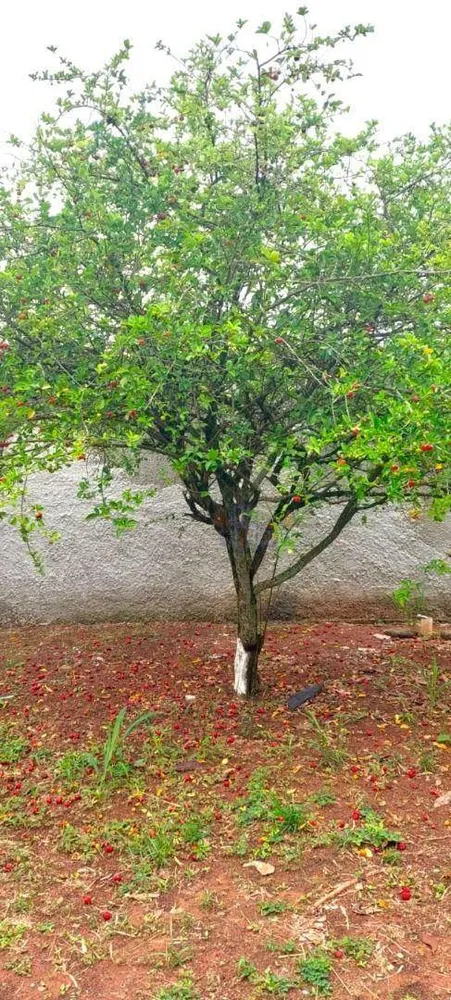 Casa, 2 quartos, 64 m² - Foto 13