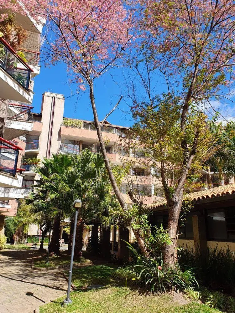 Apartamento, 3 quartos, 199 m² - Foto 38