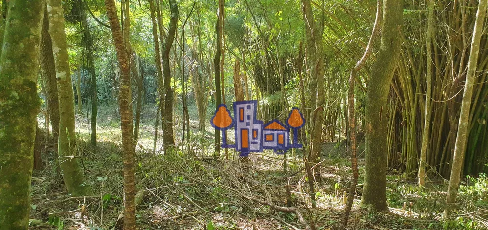 Terreno, 7500 m² - Foto 2