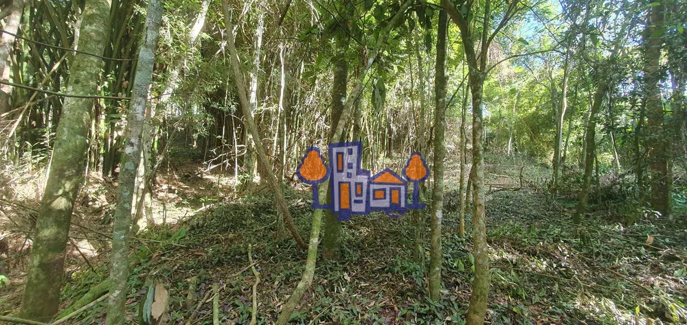 Terreno, 7500 m² - Foto 6