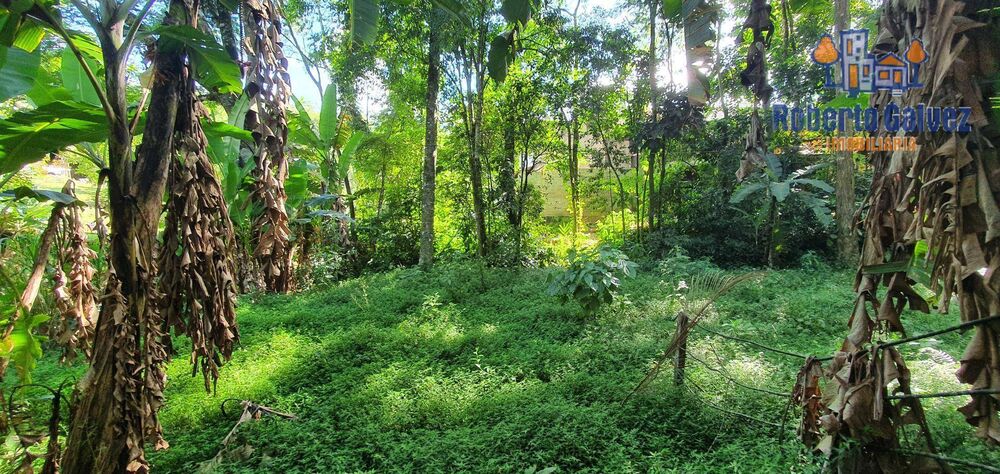 Terreno, 600 m² - Foto 8