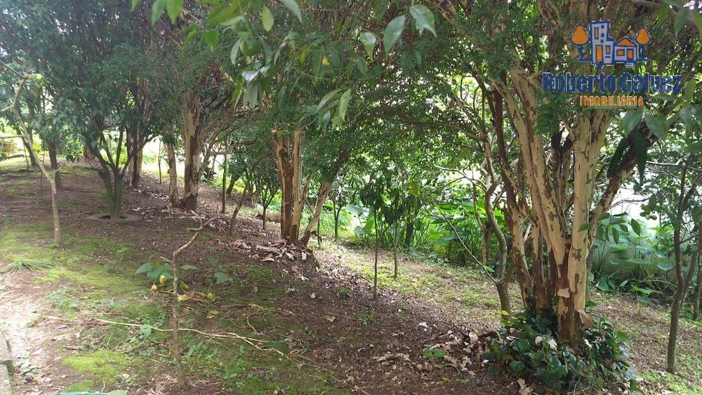 Casa, 4 quartos, 380 m² - Foto 4