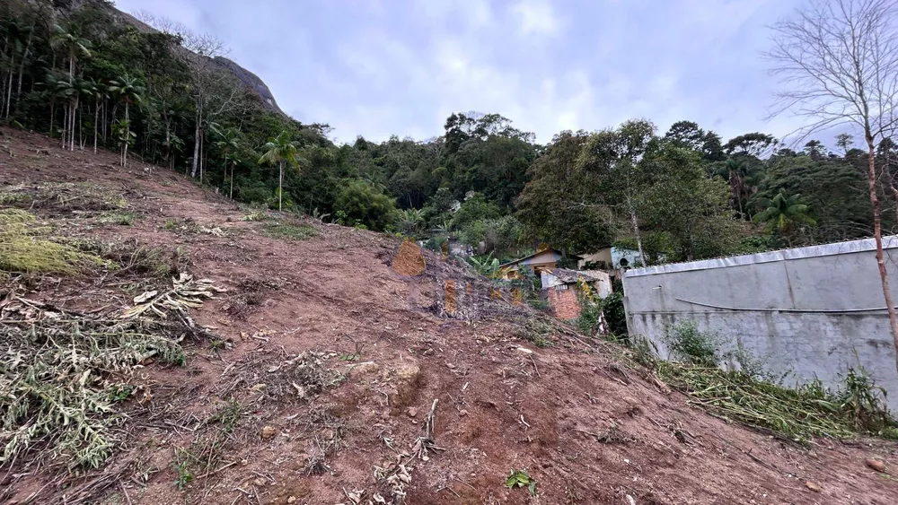 Terreno, 2 hectares - Foto 4