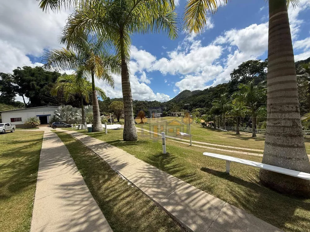 Sítio, 7 hectares - Foto 4