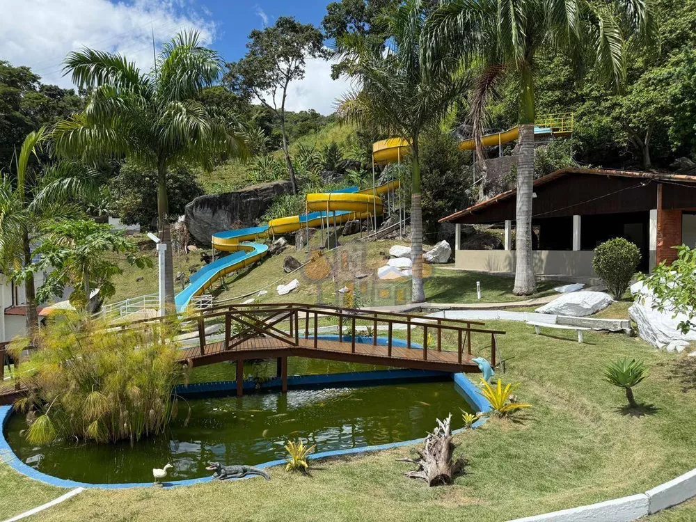 Sítio, 7 hectares - Foto 10