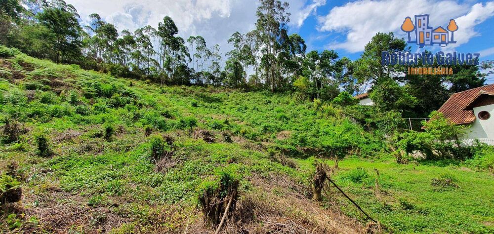 Terreno à venda, 6572M2 - Foto 4