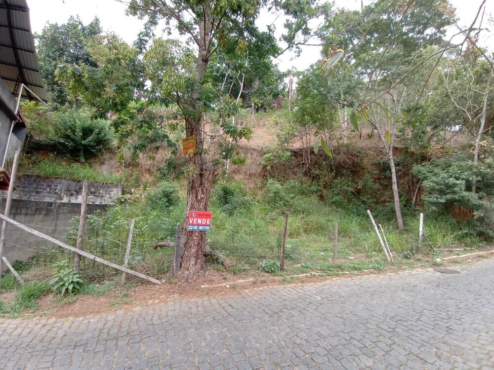 Terreno, 371 m² - Foto 6