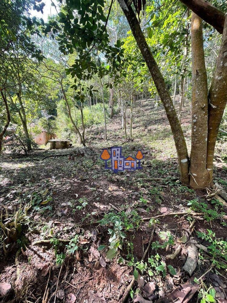 Terreno, 1533 m² - Foto 1