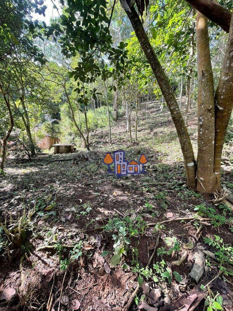 Terreno, 1533 m² - Foto 2