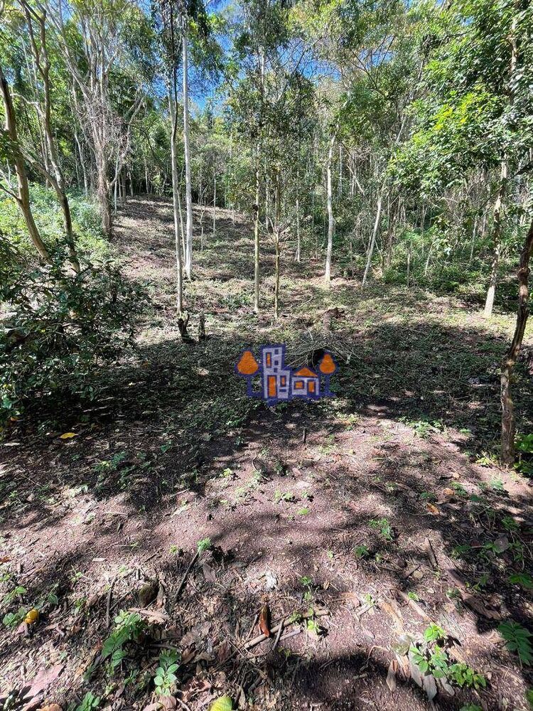 Terreno, 1533 m² - Foto 3