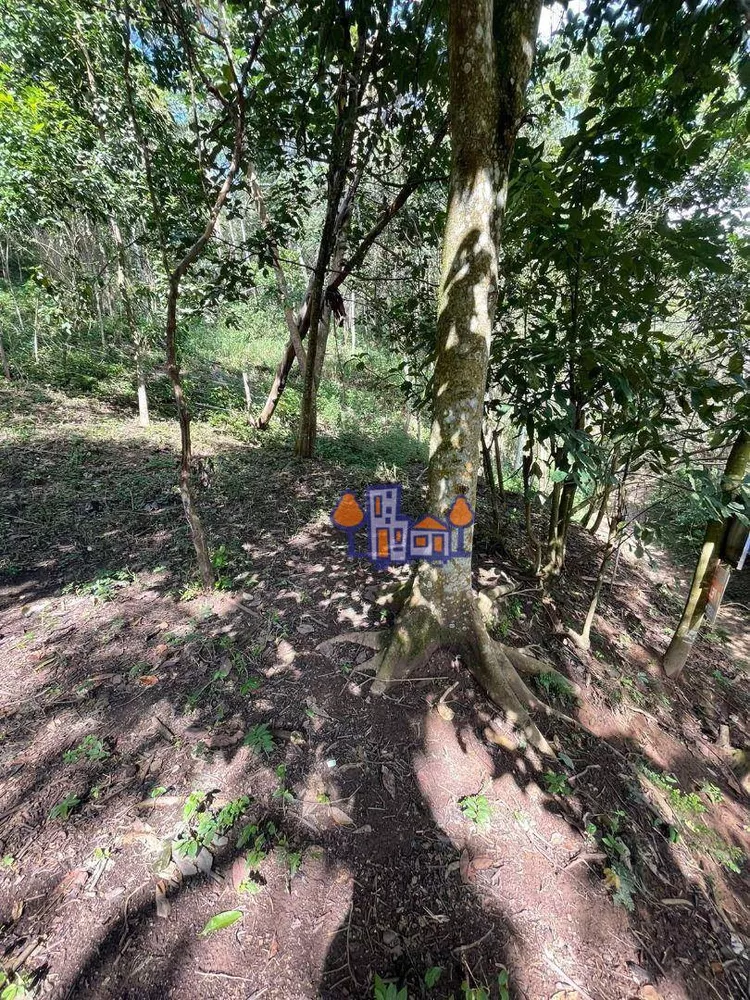 Terreno, 1533 m² - Foto 5