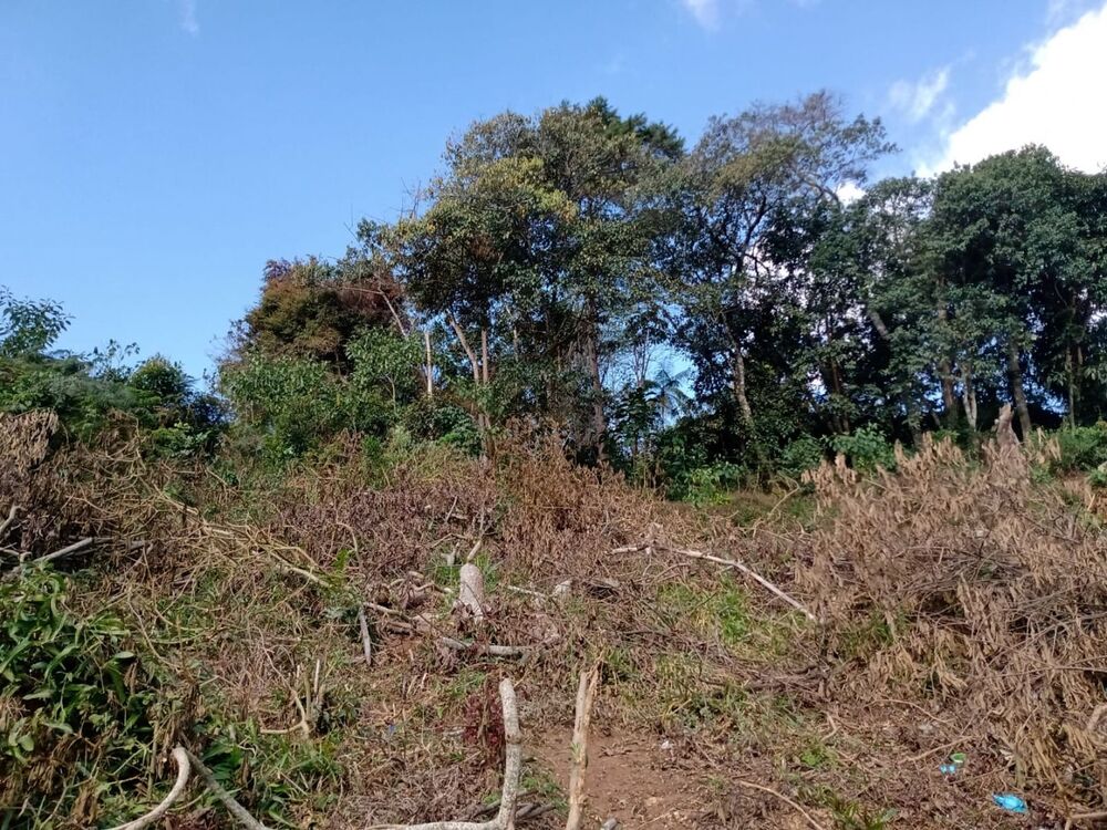 Terreno à venda, 787M2 - Foto 7