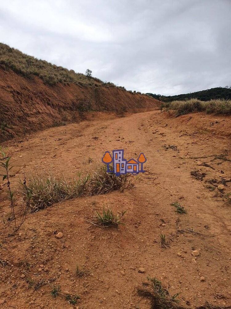 Terreno, 15 hectares - Foto 4