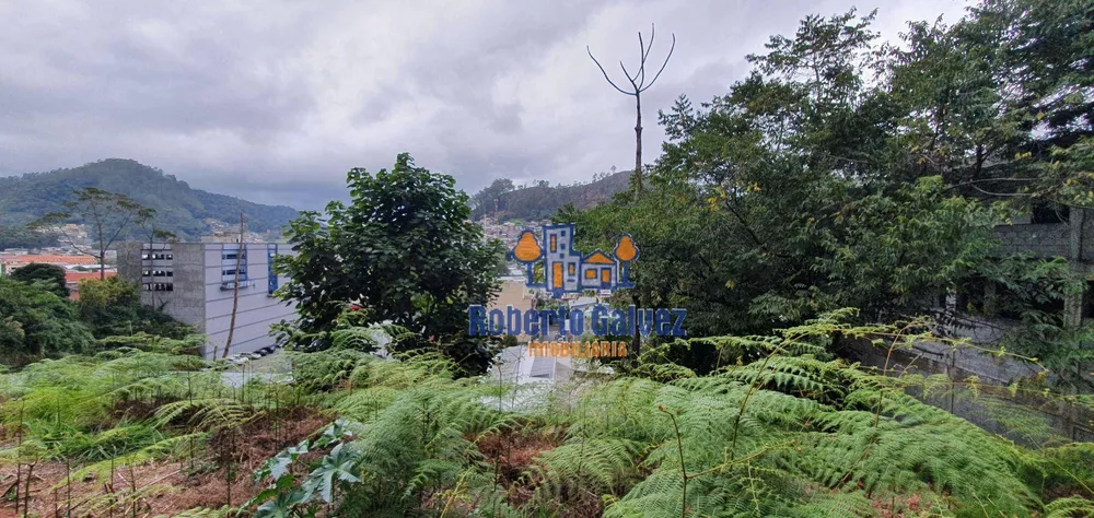 Terreno, 3192 m² - Foto 5