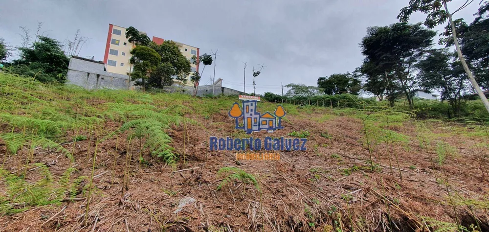 Terreno, 3192 m² - Foto 2