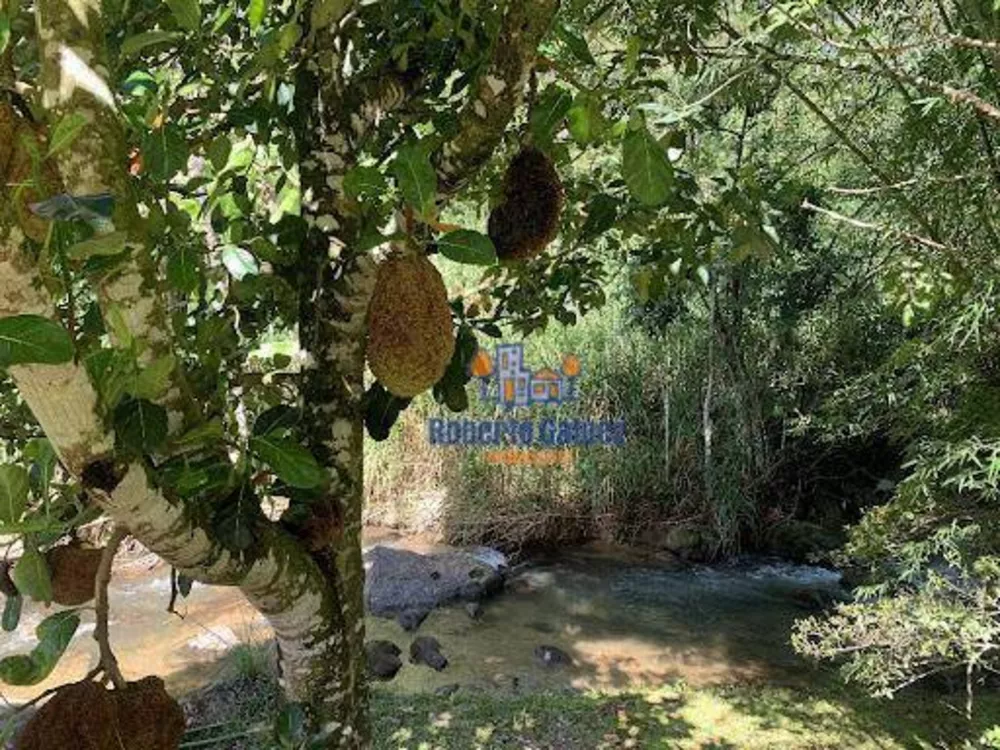 Sítio, 6 quartos, 16 hectares - Foto 30