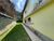 Casa, 5 quartos, 890 m² - Foto 2