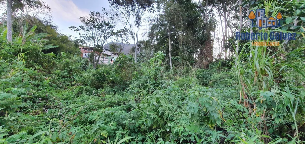 Terreno, 620 m² - Foto 2