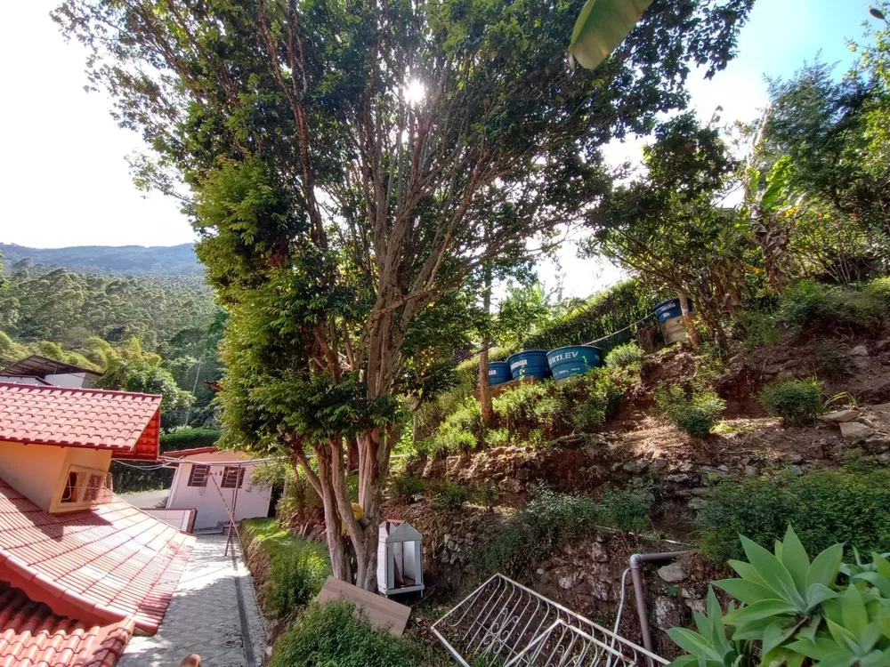 Casa, 4 quartos, 252 m² - Foto 39