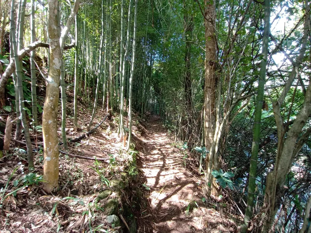 Casa, 4 quartos, 252 m² - Foto 41