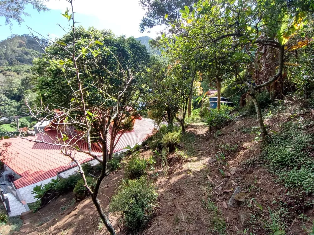 Casa, 4 quartos, 252 m² - Foto 40