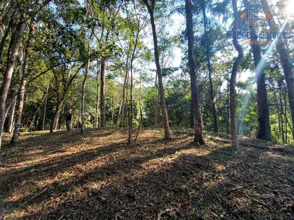Terreno à venda, 2081M2 - Foto 4