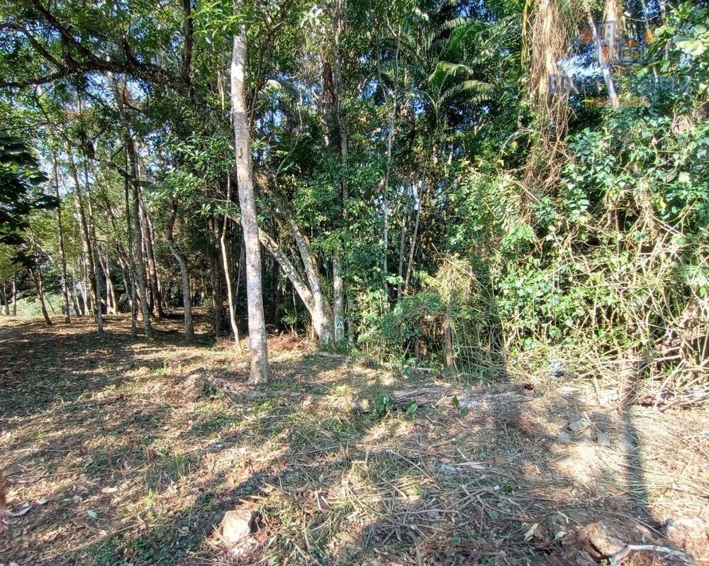 Terreno à venda, 2081M2 - Foto 1