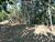 Terreno, 2081 m² - Foto 2
