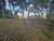Terreno, 7770 m² - Foto 1